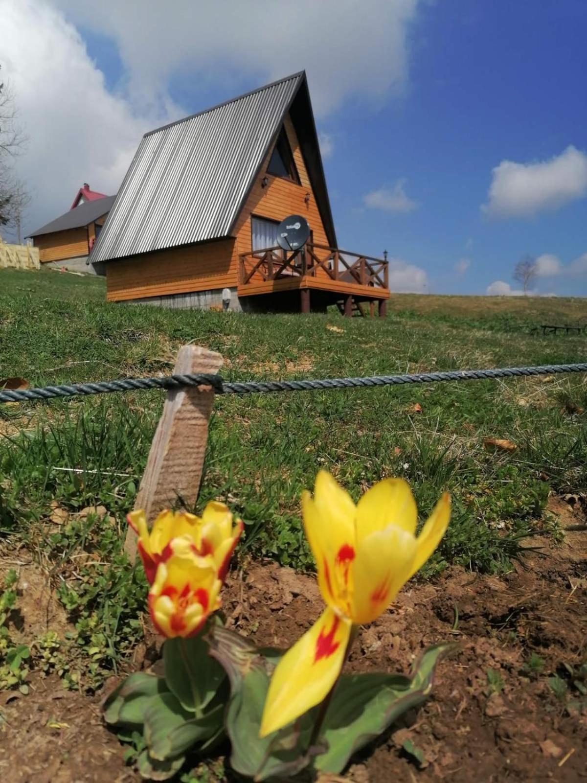 Koliba Luca Smrcevo Brdo Villa Žabljak Exteriör bild